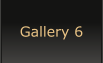 Gallery 6