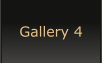 Gallery 4