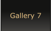 Gallery 7