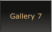 Gallery 7