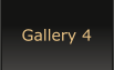 Gallery 4