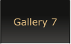Gallery 7