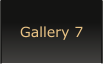 Gallery 7