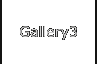 Gallery3