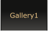 Gallery1