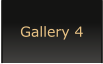 Gallery 4