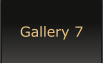 Gallery 7